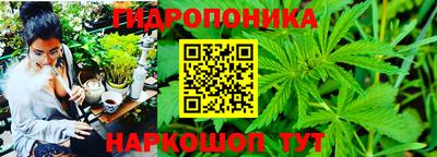 ALPHA PVP Мариинск
